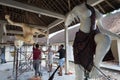 Ogoh Ogoh statues being created by Hindu Bali villagers in preparation for Pengrupukan night. Bali, Indonesia Ã¢â¬â March 9 2018